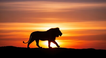 Majestic lion silhouette against vibrant sunset horizon