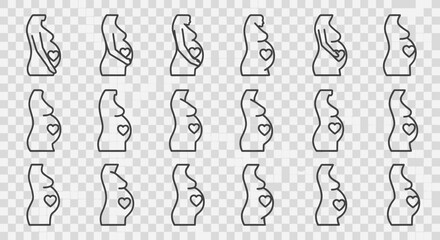 A collection of outline illustrations depicting the stages of pregnancy, showing the changing shape of a woman's body with a heart on the stomach.