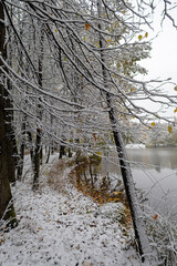 Golubinsky pond, the first snow in October. Yasenevo district, Moscow