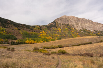 Fototapeta premium Hiking trail in Gothic Basin, an autumn mountain landscape near Crested Butte, Colorado