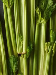 Obraz premium Macro top-down close-up of fresh celery stalks with crisp green texture and natural shine on dark background
