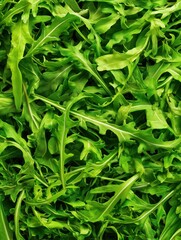 Fototapeta premium Macro top-down close-up of fresh arugula leaves arranged on dark background with vibrant green texture