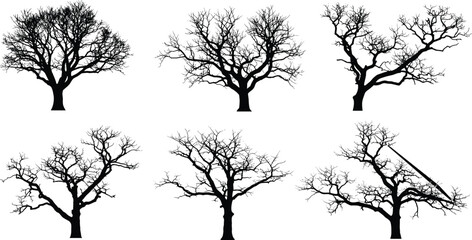 Leafless tree silhouettes, winter forest elements, bare branches, botanical illustration, nature design, seasonal decor, black trees, isolated vector set
