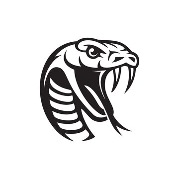 Snake head. Vector illustration a white background.
