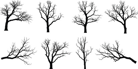 Leafless tree silhouettes, winter forest elements, bare branches, nature icons, botanical shapes, isolated trees, seasonal design, landscape illustration, vector art