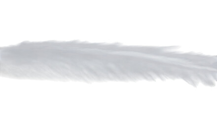 A delicate gray feather isolated on transparent background, showcasing its intricate barbs and soft texture, creating a sense of lightness and ethereal beauty, perfect for design elements and artistic