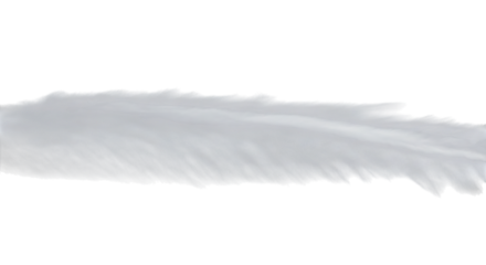 A delicate gray feather isolated on transparent background, showcasing its intricate barbs and soft texture, creating a sense of lightness and ethereal beauty, perfect for design elements and artistic