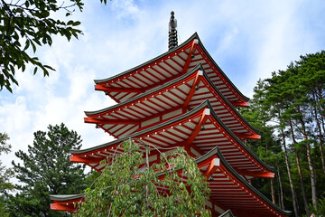 Fototapeta premium Scenic View of Mount Fuji at Arakura Sengen Shrine, Yamanashi, Japan