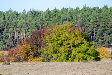 Obraz premium A patchwork of autumn trees and open fields stretches toward distant hills and a red-roofed house under a muted sky.