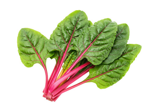 Fresh red chard isolated on transparent background, vibrant leafy greens for healthy eating and culinary use