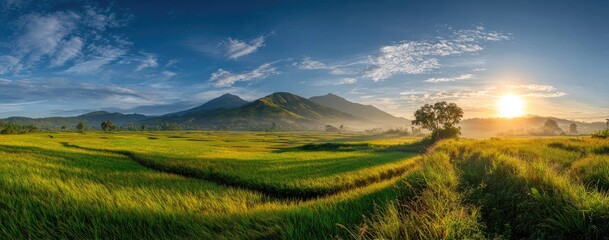Panoramic field leads to mountains under a bright sky during sunrise