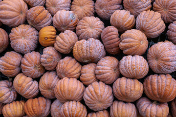 A vibrant pile of small to medium orange pumpkins fills the frame, perfect for harvest, markets, or seasonal decor. Great for autumn or Halloween themes in stock photos and ads.