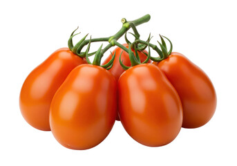 Cluster of plum tomatoes isolated, fresh red Roma tomatoes on the vine for healthy eating and Mediterranean cuisine