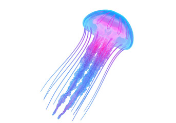 Beautiful jellyfish PNG illustration isolated on transparent background Marine life with long tentacles Underwater creature with vibrant colors © Matteo