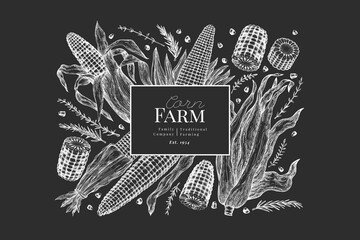 Hand Drawn Vector Sweet Corn Illustration. Not AI Generated. Autumn Seasonal Chalk Board Background. Fall Season Farm Banner. Vintage Harvest Design Template.