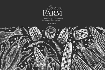 Hand Drawn Vector Sweet Corn Illustration. Not AI Generated. Autumn Seasonal Chalk Board Background. Fall Season Farm Banner. Vintage Harvest Design Template.