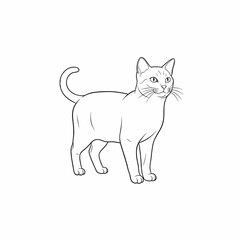 vector illustration of a cat
