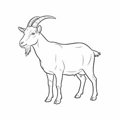 Vector illustration of a male goat.