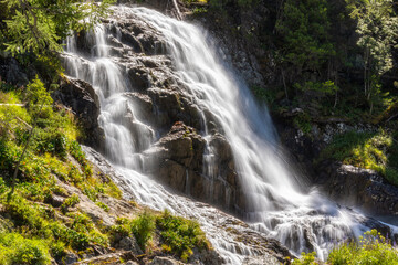 Summer landscape with a mountain river. Altai, Russia