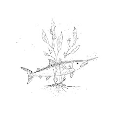 Obraz premium A sketch of a swordfish swimming near aquatic plants in black and white on a white background art