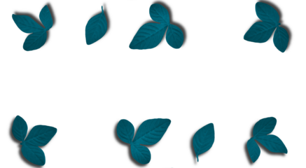 Dark Teal Leaf Clusters Scattered with Shadows - Transparent Background