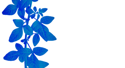 Bright Blue Leafy Branch Vertical Side Border - Transparent Background