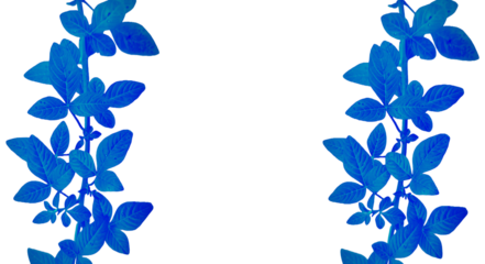Bright Blue Leafy Vines Vertical Symmetrical Border - Transparent Background