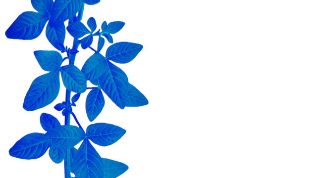 Bright Blue Leafy Branch Vertical Side Border - Transparent Background