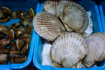 Fresh shellfish at the fish market. Seafood dietary products. Close-up.