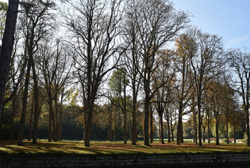 For&ecirc;t&nbsp;en&nbsp;automne