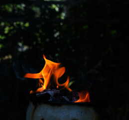 The extremely beautiful fire