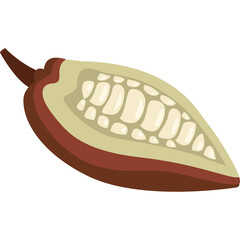 Cut Cocoa Pod Showing Seeds Inside Isolated On White Background Vector Illustration