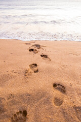 Vertical image of the beach, footprints in the sand going to the water