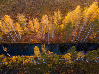 Top down view of river and colorful forest at autumn day.
