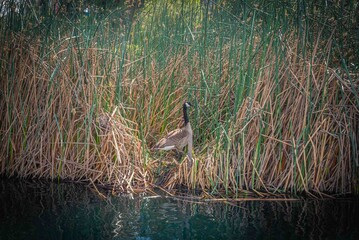 Voyage &agrave; Los Angeles
