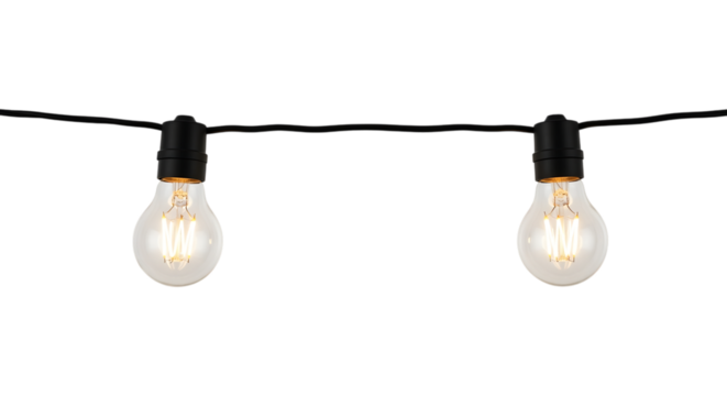 Two Edison filament light bulbs hanging from a black cord filament bulb, isolated on a white or transparent background, cutout, PNG