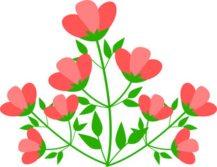 pink flower background