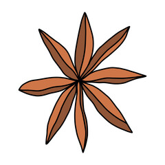 Star anise, a spice pod with seeds, a brown spice for cooking and design