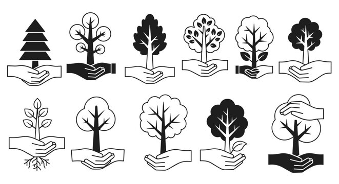 Hands carefully holding various trees, symbolizing nature, growth, and environmental protection