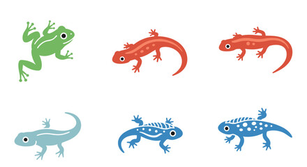 Fototapeta premium Colorful amphibian collection featuring frog and newt illustrations, biology, nature, and life