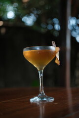 Elegant cocktail with apple garnish on wooden table, perfect for bar menus, social media, and lifestyle branding