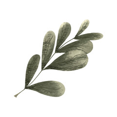 Winter Leaves Botanical Print