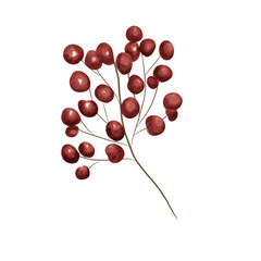 Botanical Watercolor of Red Winter Berries