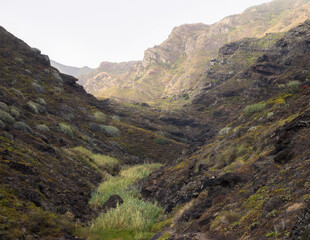 Explore the Stunning Landscapes of Afur Ravine in Tenerife, Spain