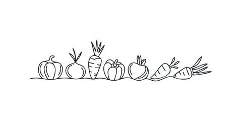 Fototapeta premium Hand drawn vegetables outline on white