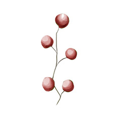 Botanical Watercolor of Red Winter Berries
