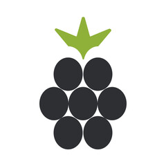 Collection of line icons representing blackberries arranged in a visually appealing pattern. The design features simple shapes and a fresh green leaf, emphasizing a modern aesthetic.