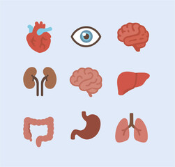 Human Internal Organs Icon Illustration Set