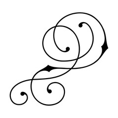 Line curl element. Modern decorative linear vignette.