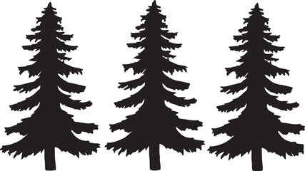 Fototapeta premium Three black silhouette pine trees with detailed branches on a white background evergreen nature